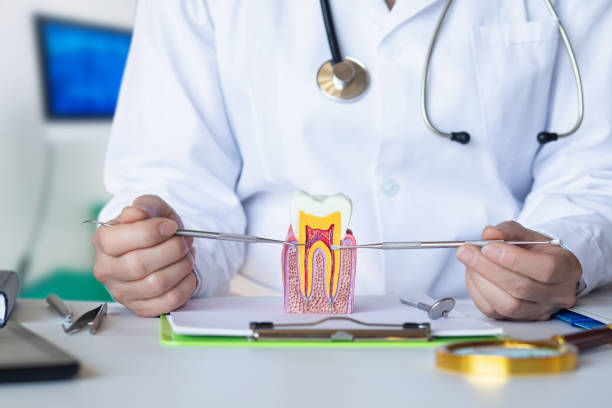 Best Emergency Treatment for Toothache in Bnchard, LA